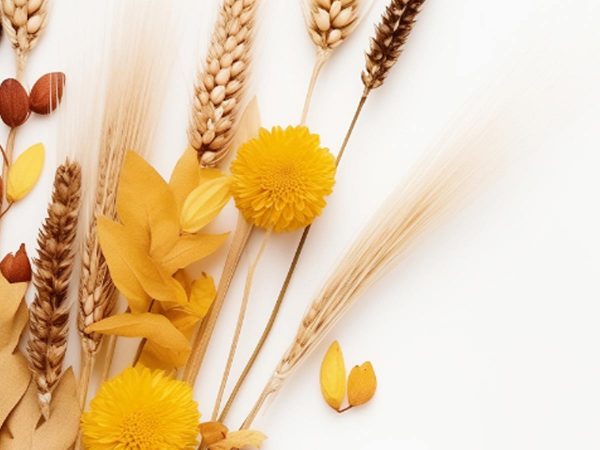 Create Your Own Animation Movie at Home